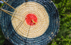 Report tirs de l'empereur et abat oiseau