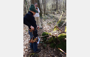 La chasse à la branche