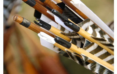 Albums photos tir Empereur et Roy